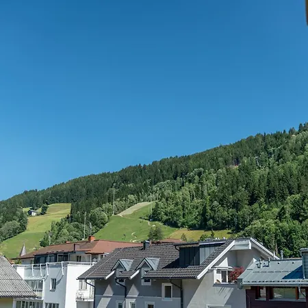 Stadtvilla Boutiquehotel 酒店 斯拉德明