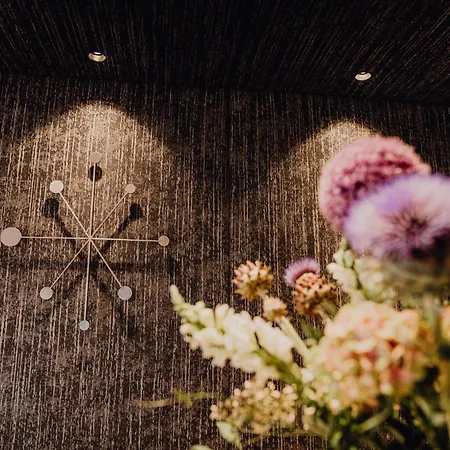Stadtvilla Boutiquehotel 3* 斯拉德明