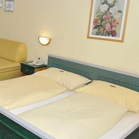 Stadtvilla Boutiquehotel 3* 斯拉德明